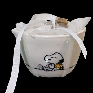 Snoopy and Woodstock Rae Dunn Ceramic Measuring Cup Set